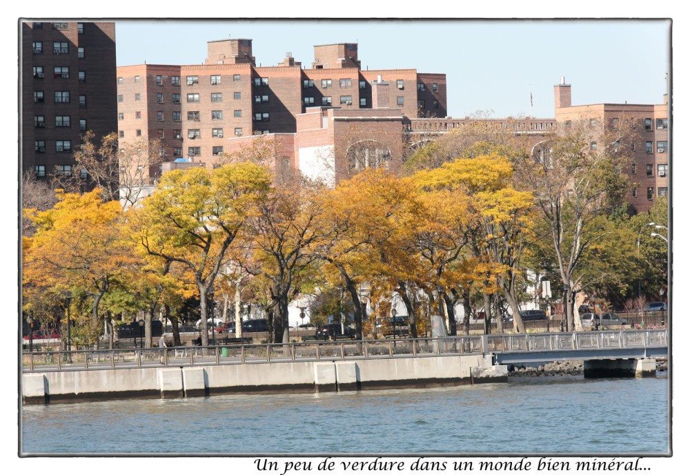 24_Manhattan.jpg