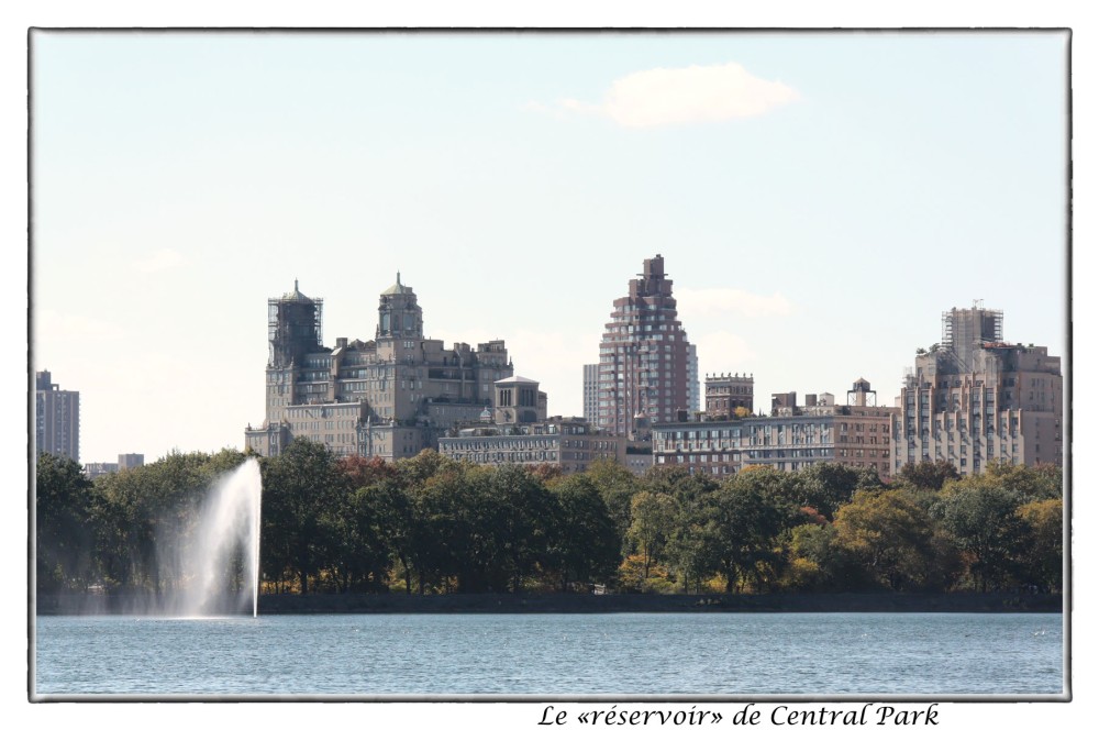 26_Central-Park.jpg